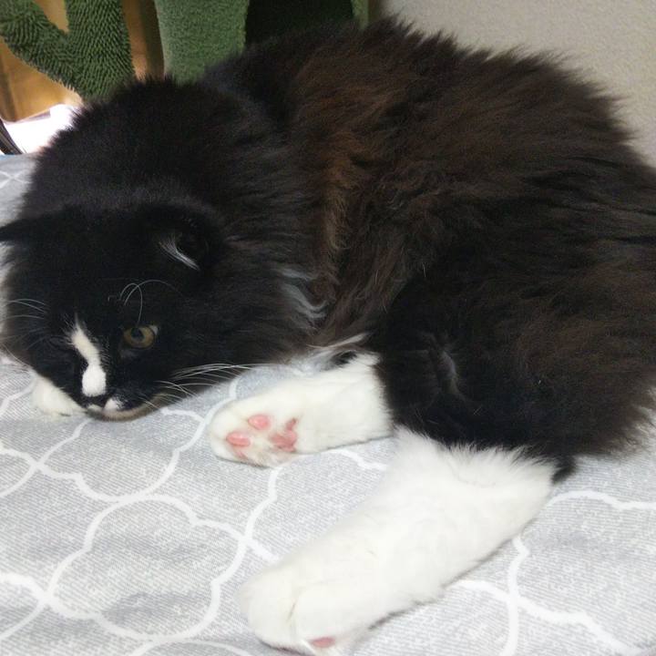 0a1112b4 885f 439a 8832 9d94bb74a4bf 1658114991192