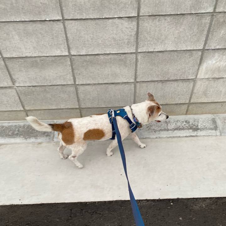 0a112fac d162 494f a6bb 81f1b2365fb8 1653569343122