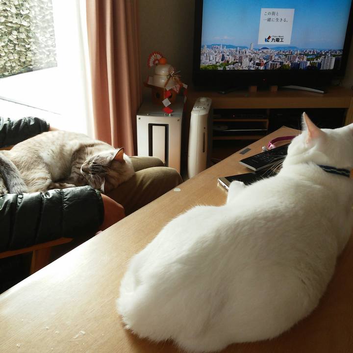 0a113b1e e1a4 47d8 a3c1 3d392432f5eb 1514780007161