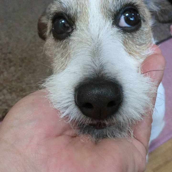 0a114d7a 3dd1 45ee 8fd1 06d174d58c40 1524391327075