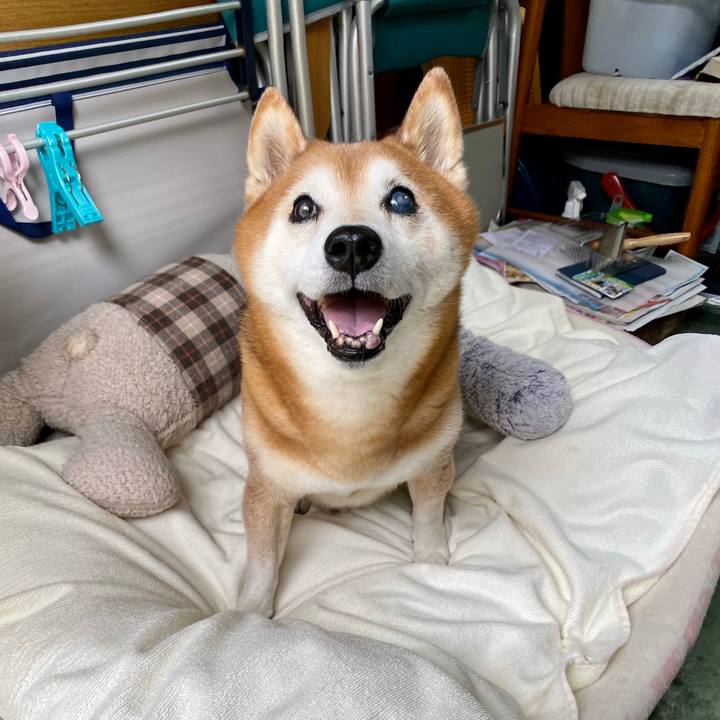 0a1181a5 6d26 4415 9976 67d6a67bd060 1597099484619