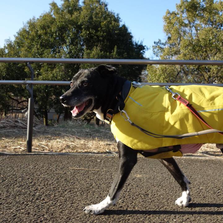 0a119294 2f49 409c 99b8 dd8c66507204 1740529101001