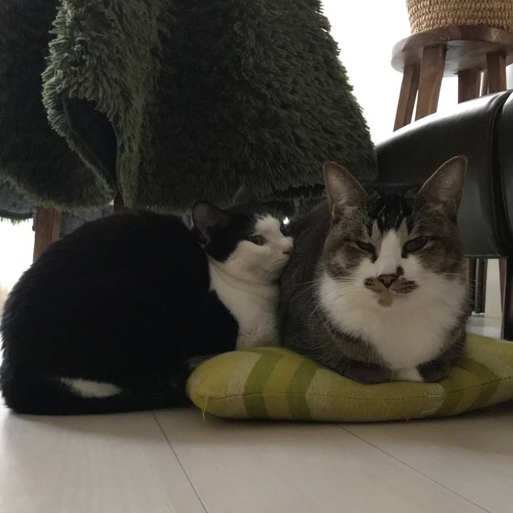 0a119a0b 7826 468c a81e d9eeb9ed3b84 1513315078931