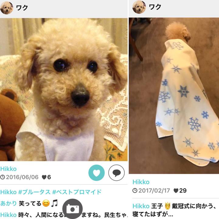 0a11e142 233a 4c5b 97a1 ee6166043bc9 1558878049541