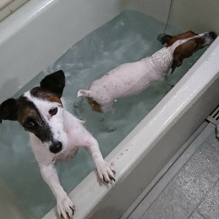 0a11eb7a 8986 4bcb 85a1 f871ade8bac8 1573440473173