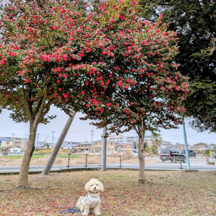 0a122429 8628 41d9 9af2 c2cdd0c56e14 1770444066286