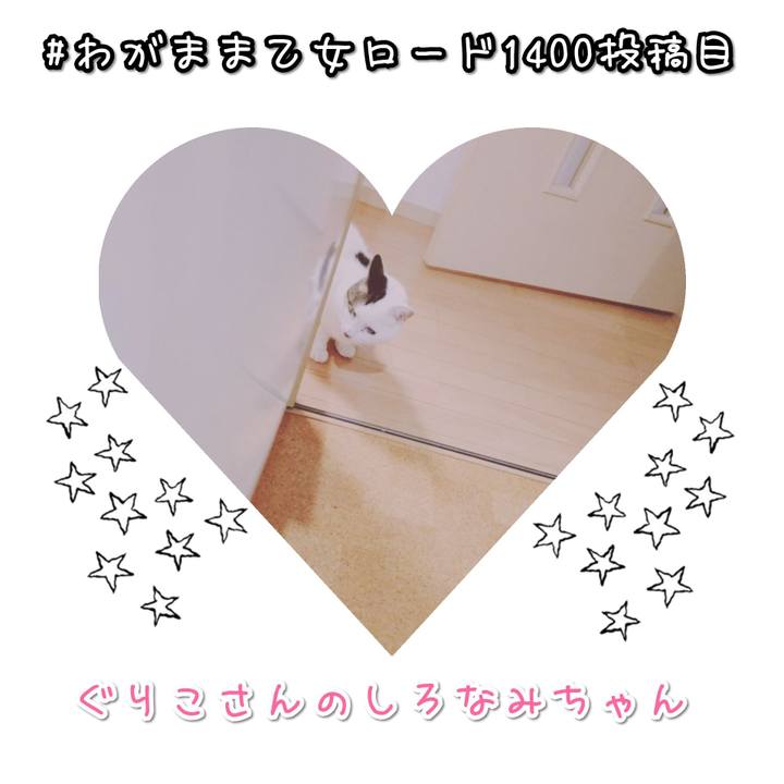 0a125639 85bf 4fed 9eb4 bac96c5e42ae 1573637348220