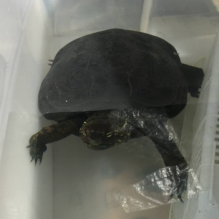 0a125f17 996e 4610 a021 10b724642d96 1522472846441