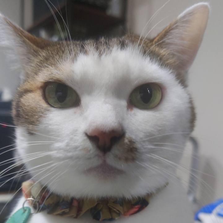 0a127e9a e1d9 4564 a216 f5d3fa3ba9c3 1608517655501