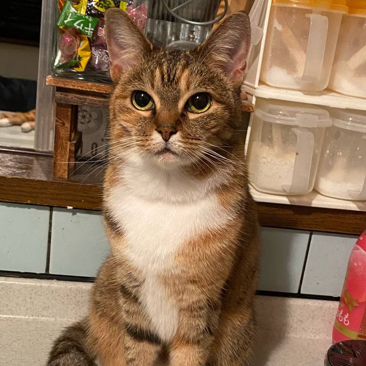 0a129fdb 015f 4a17 a1e6 6858d2c8f7b3 1593219172400