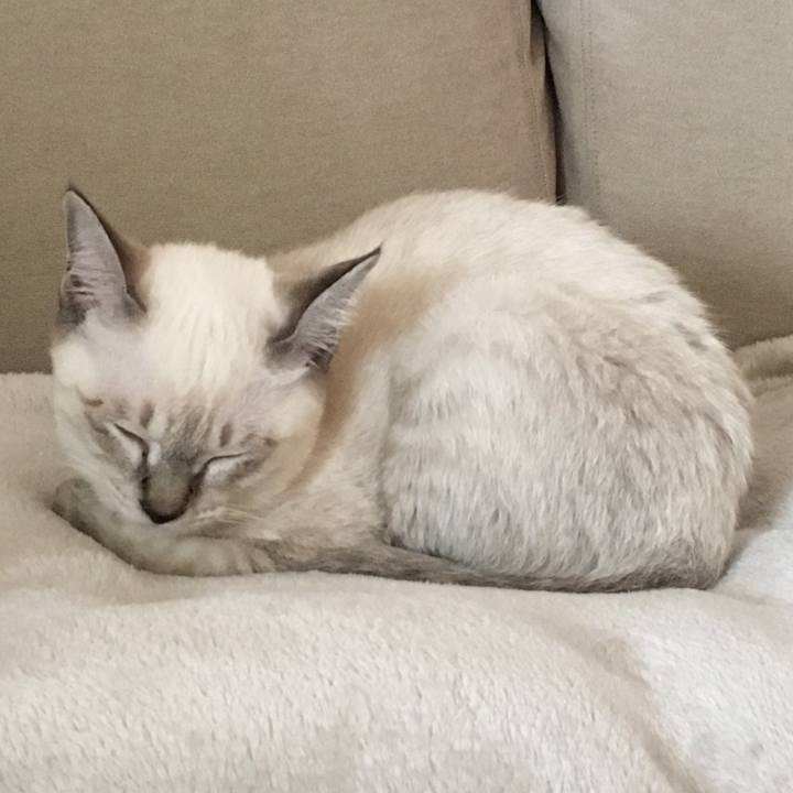 0a12b1f7 1dfb 4808 a4e5 0a25ea0f066d 1537770021194