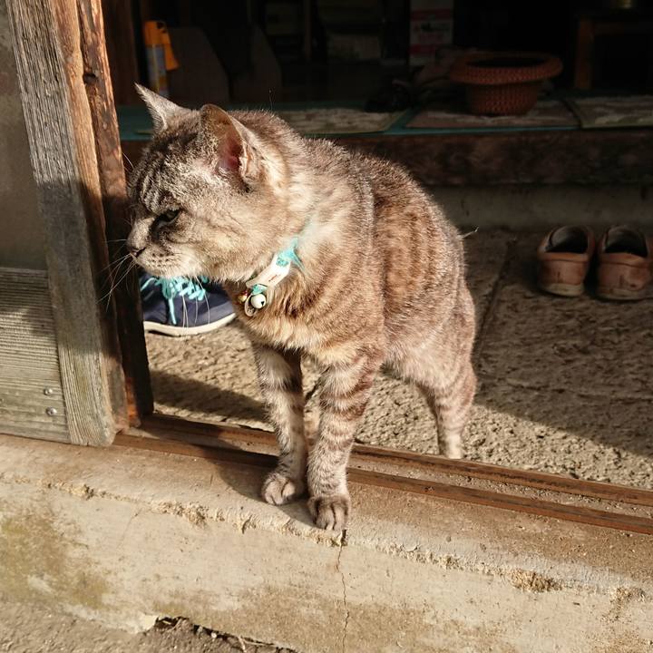 0a12e0cf f2f1 41f1 81fb 9f5ffa0628c5 1569190145101