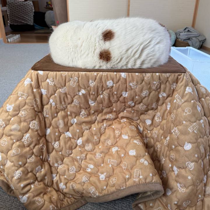 0a12e6ec 3e89 49a4 9342 04ab1b3c11f5 1764382391853