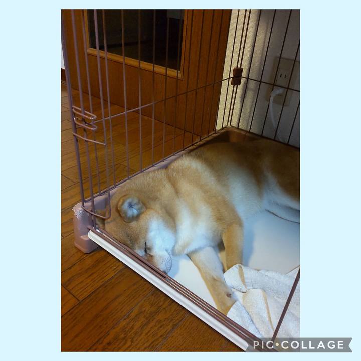 0a130e5a 0dce 45c0 9e76 7219cceb022d 1721524886492