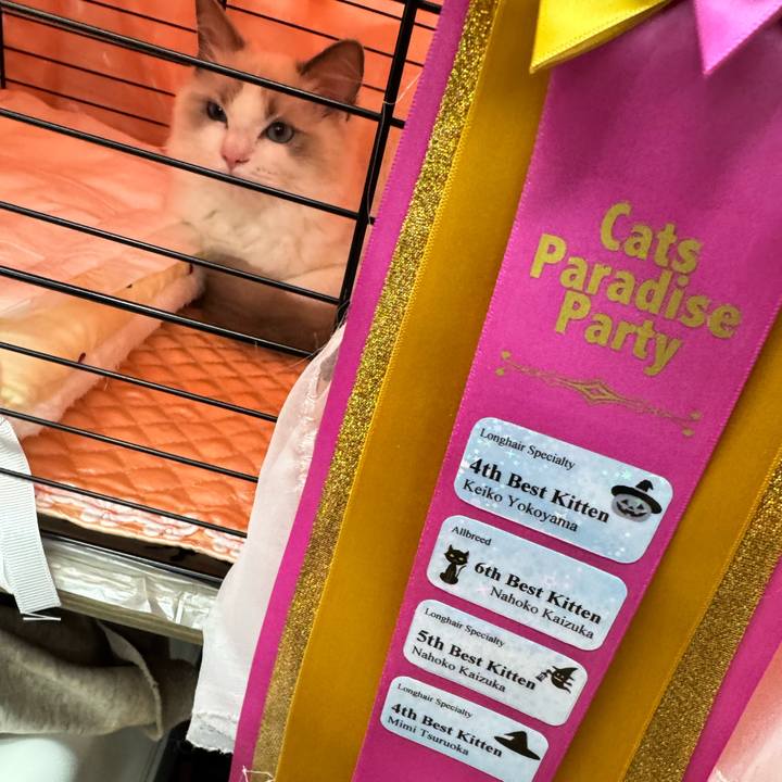 0a132c3c 6408 4841 80ab 91c75d420b9e 1761128164165