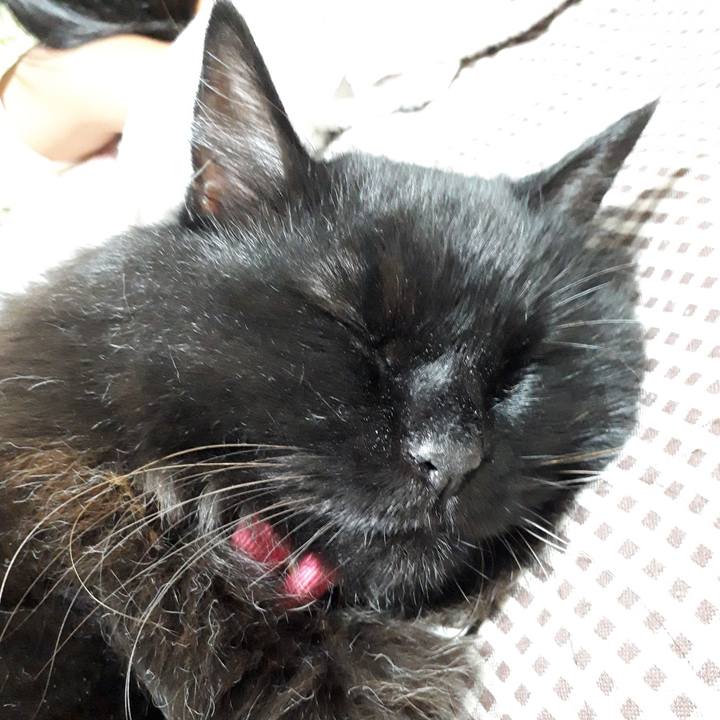 0a133fe2 bb0c 4568 919f e1345d3f9789 1534332233935