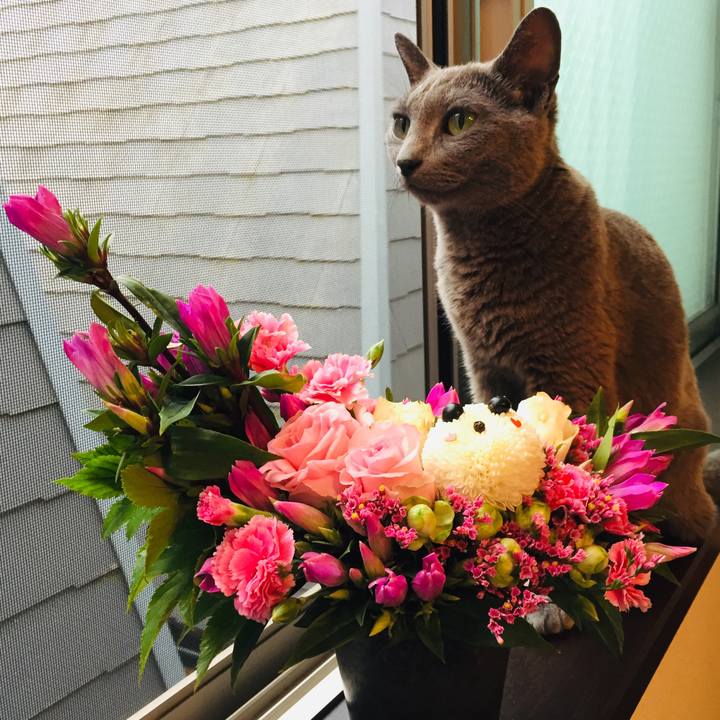 0a13c23f 0662 4991 a291 5c175a36d2fd 1570058102018