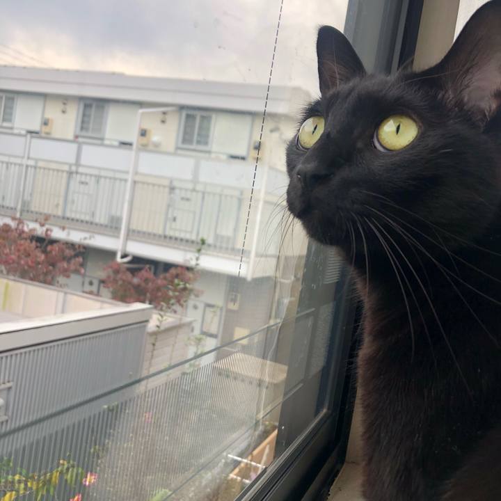 0a13d280 e25d 4262 9ec9 d90ded6a5570 1603926888152