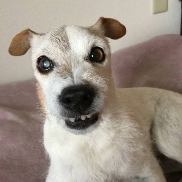 0a13d639 8038 4934 99a1 db97c979cc26 1508660739742