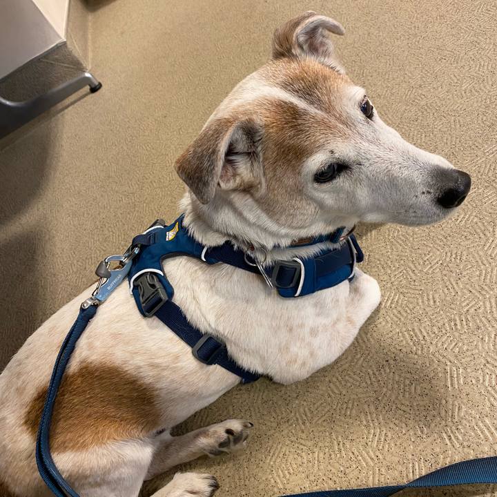 0a141832 4a1b 4d4e 9616 6b64225f0a8e 1647339934960