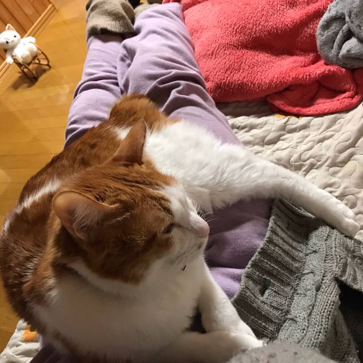 0a1419b7 091f 4cbd 8c43 1f1cb5bbef6d 1547334195517