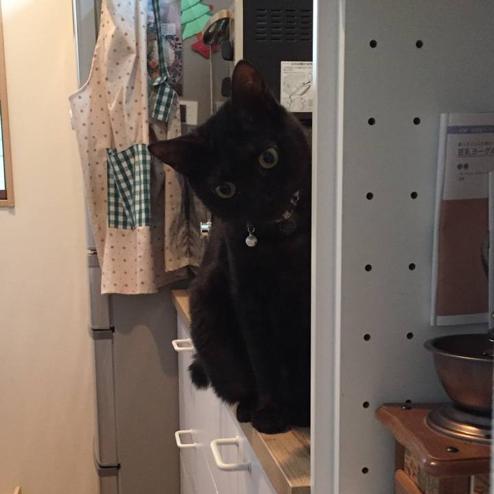 0a144e1d 8934 4a14 b2fd ad59dc747081 1514439728686