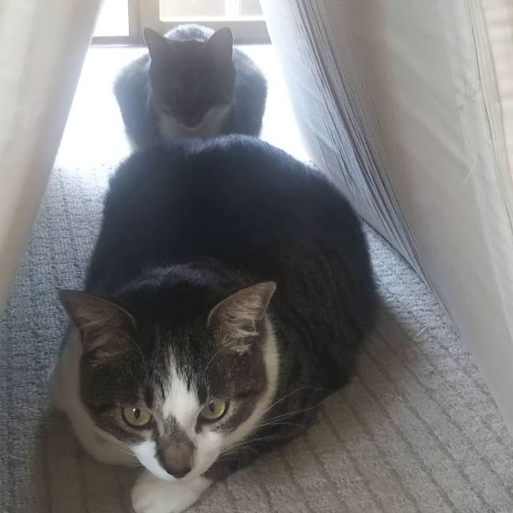 0a145067 ddd8 448e b545 b4d06159da50 1622334466604