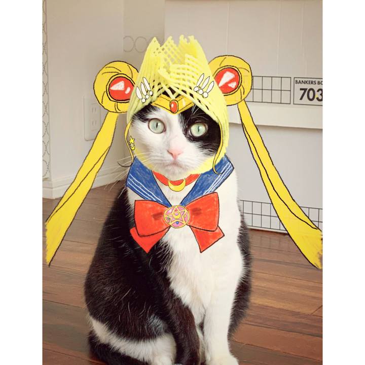 0a145b63 a755 4ce9 ac99 cc2a84aeb046 1591358082626