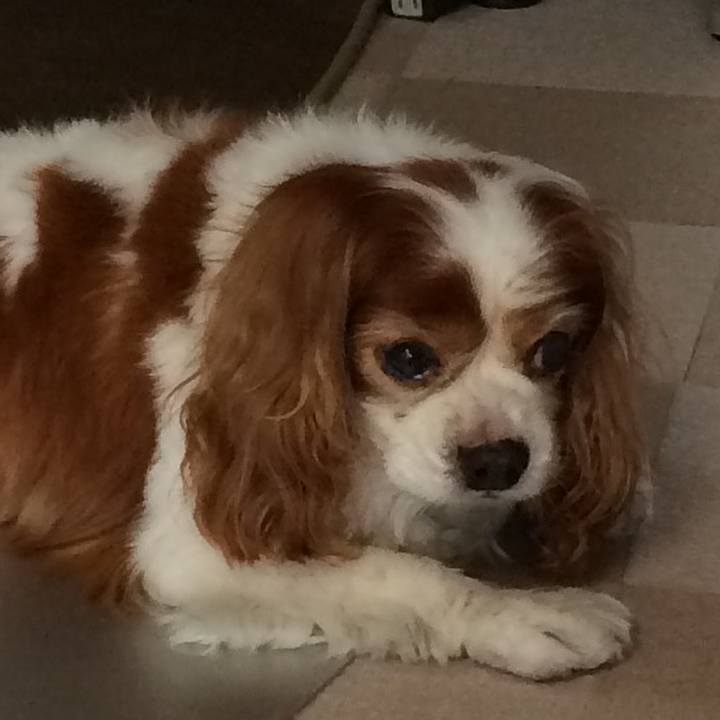 0a145e10 30fb 4dfa b61e b0818a6b3f0b 1527309631949