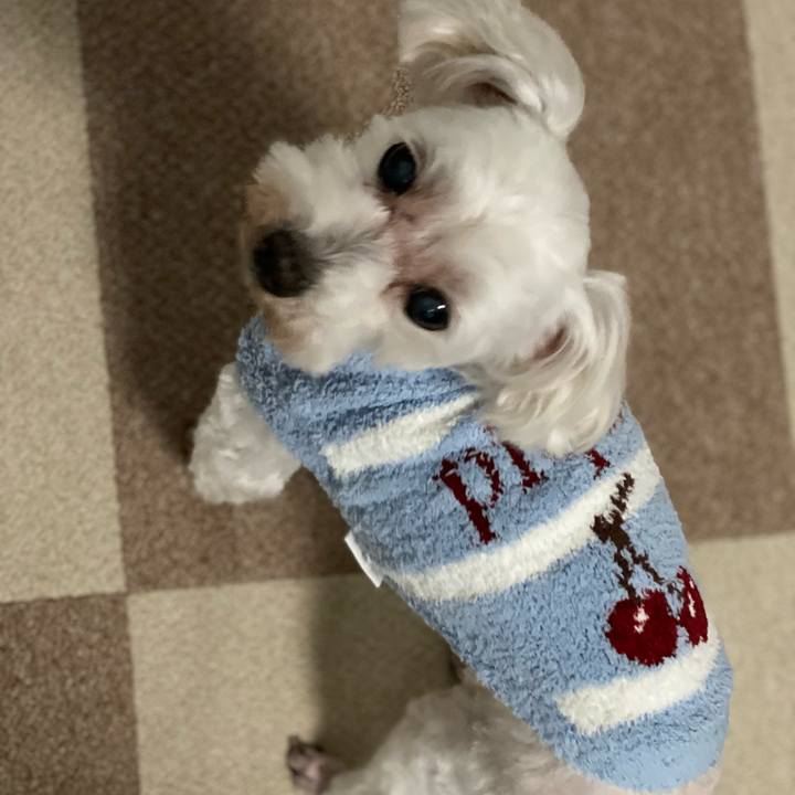 0a149b74 391c 4eac 9bb1 3dabad530fe8 1761998414735