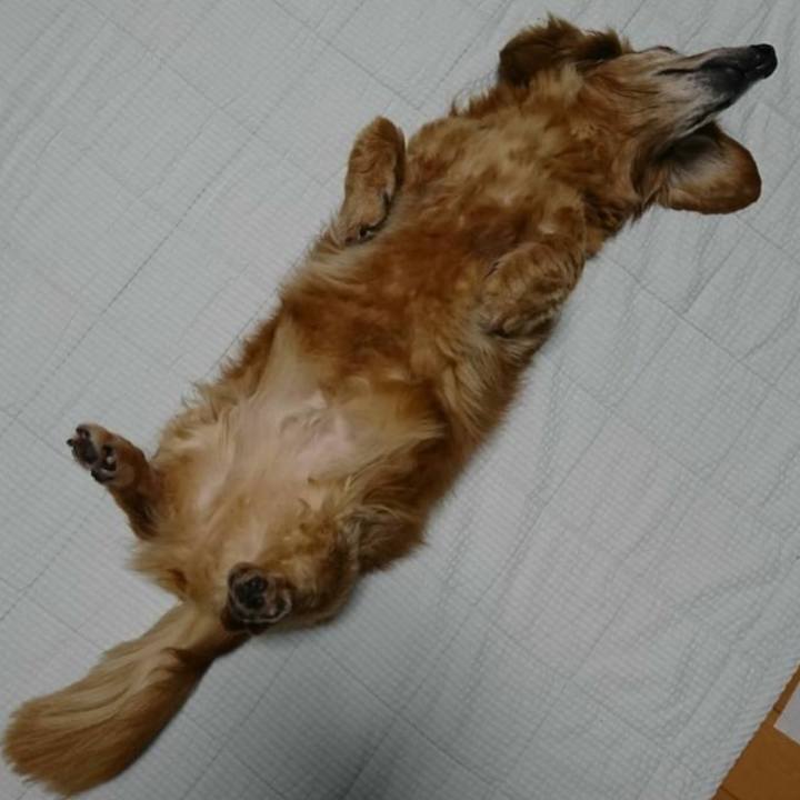 0a14ec49 cc01 4a3c 9169 348e0437b494 1686302922624