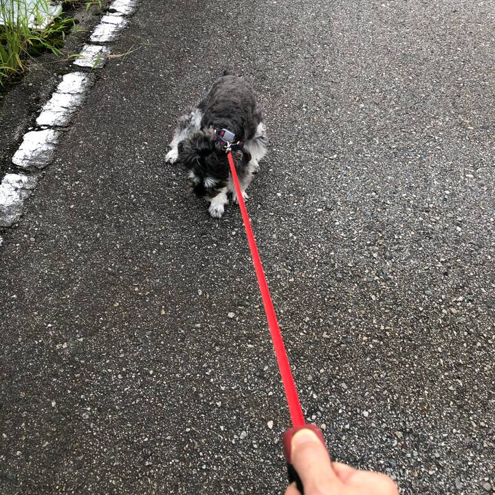 0a152516 31a0 4044 a2c1 005c9bb57192 1630747756959