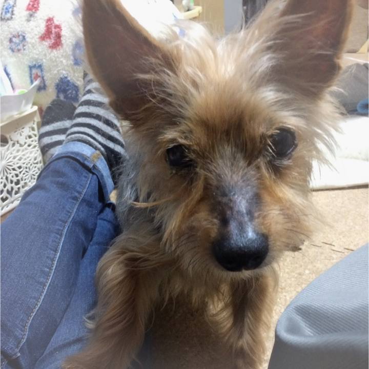 0a156932 85c2 410c 9c0d 10f1cde5e950 1597017569473