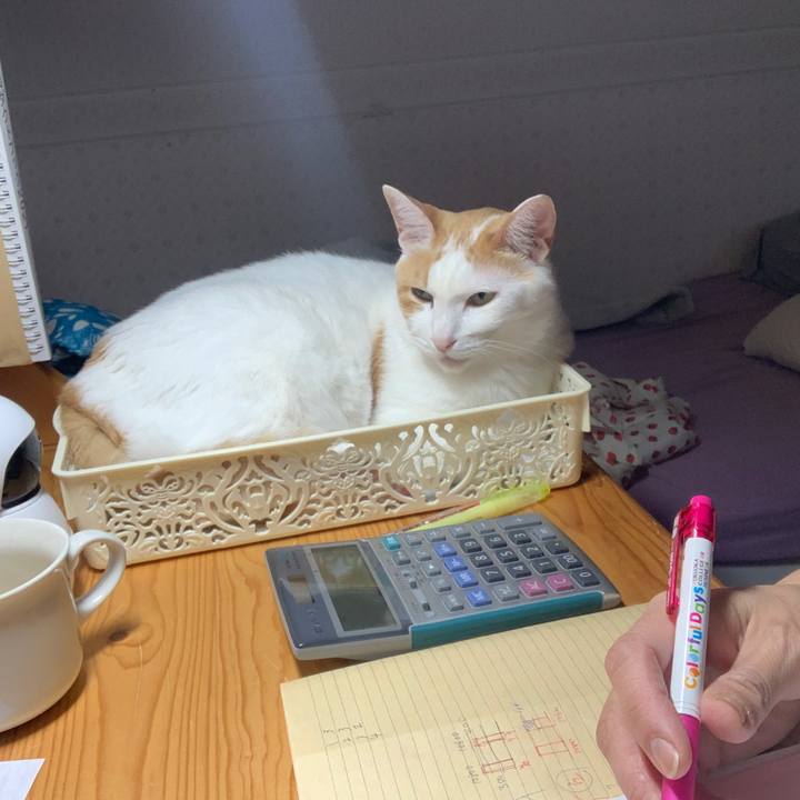 0a158cf6 e120 4026 89ca 5cb8d7a635ad 1653083594628