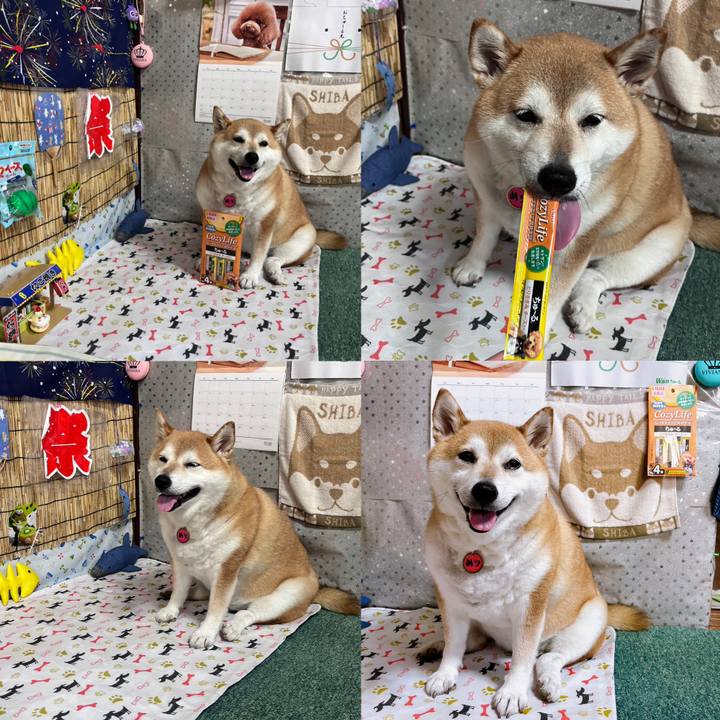 0a15d1dd e4d3 4c07 a943 26c0a79c5244 1689255252910