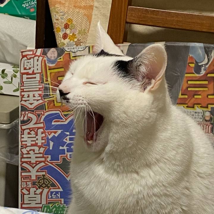 0a15df33 8949 4321 b369 6f284abfcfdf 1642259142597