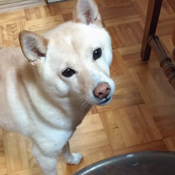 0a15e0e7 8cd7 48ea 8470 1d5118d0fcd6 1576882795101