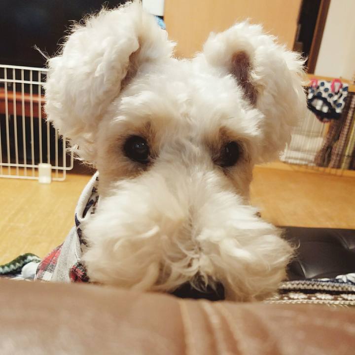 0a15ea55 8c68 4380 a23a bcb822a7ba9a 1519736800861