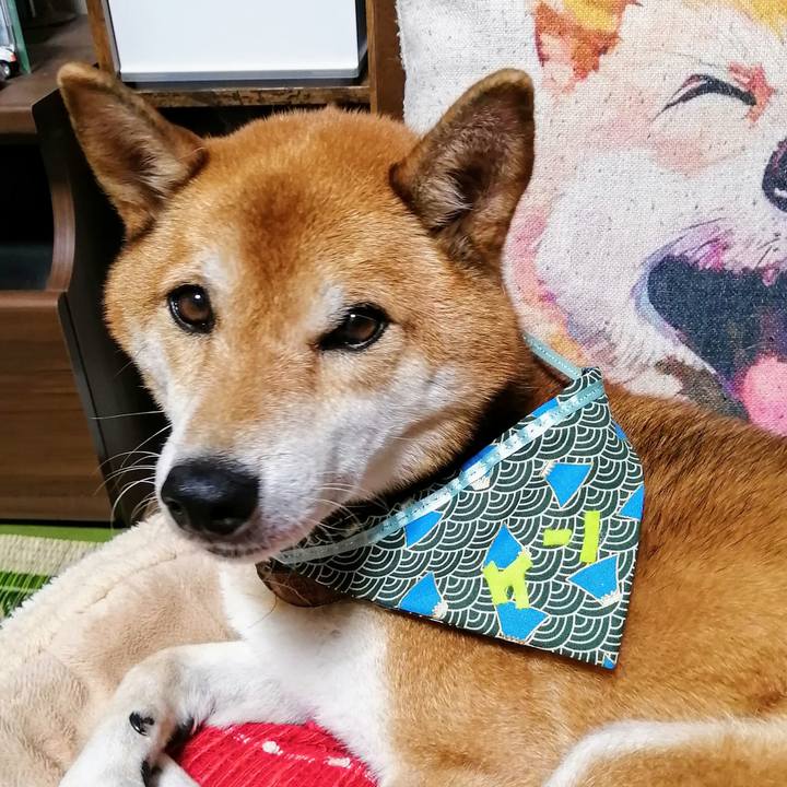 0a16008b b5ca 4bf0 ad31 f996cc175b3f 1633694010612