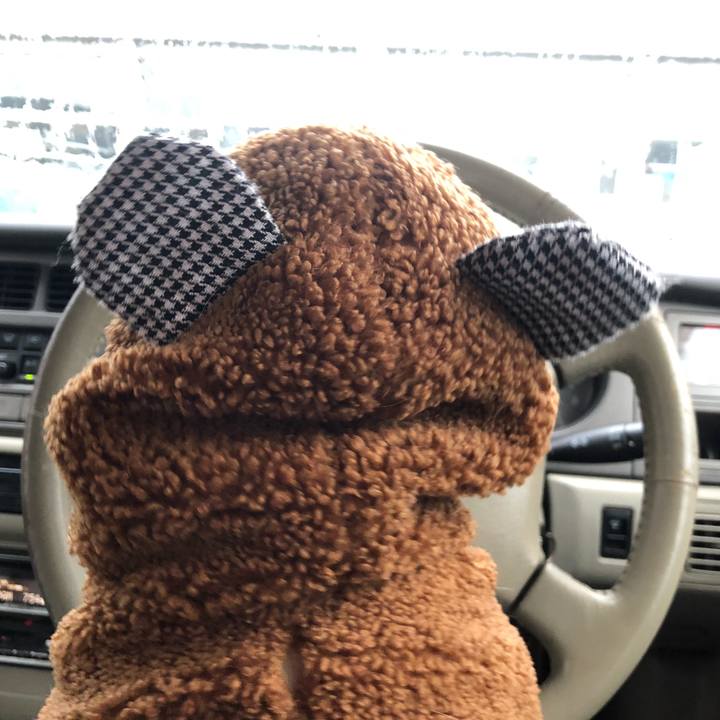 0a161c55 ad50 4b01 b3c7 2e2b0009ead1 1615718658441