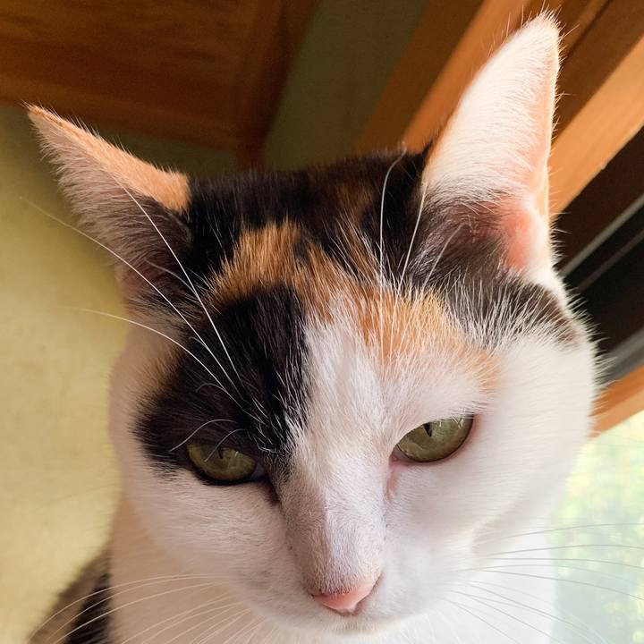 0a1697ed ccdf 46aa 8e8c c4f2978200a7 1574474798254