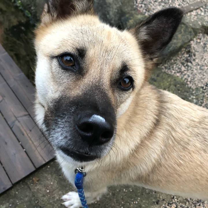 0a1699c9 5909 41d3 991d 6153ace4fb55 1536748986636