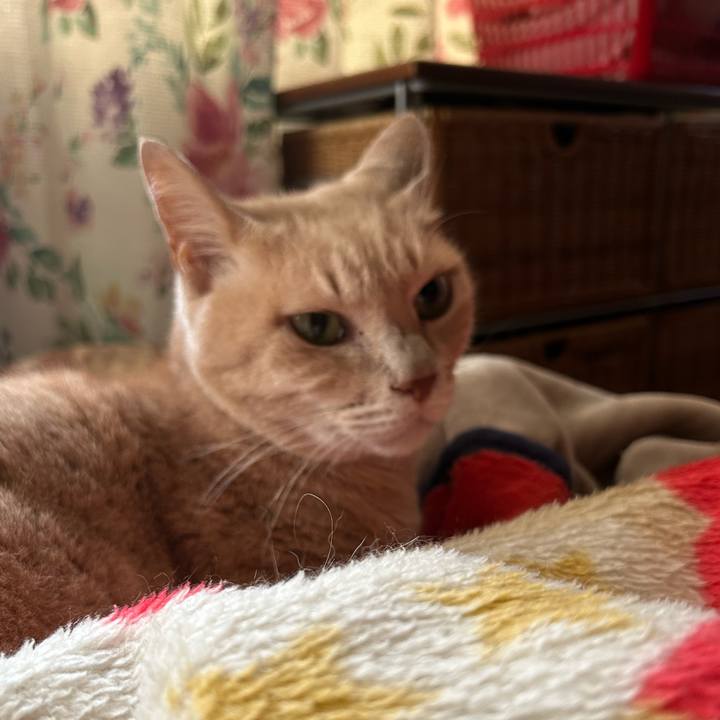 0a169d4e 71d8 4912 b029 e2572e53df25 1767071821928