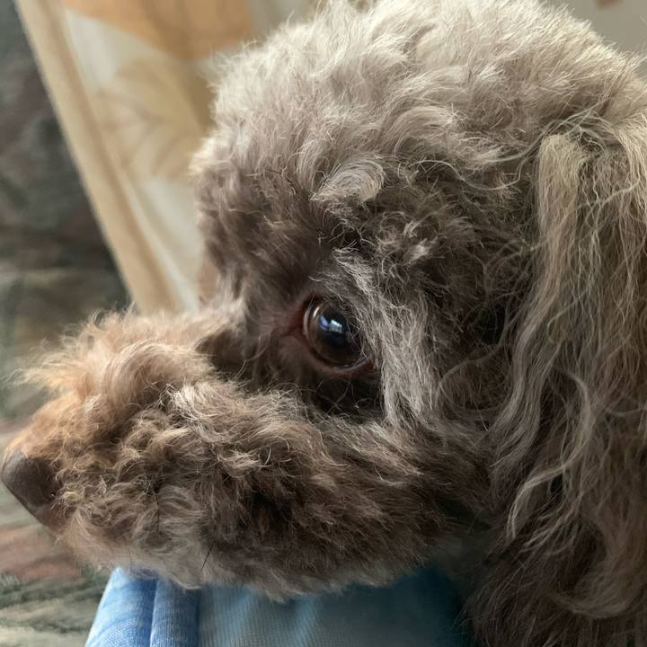 0a16aea9 ed53 4a5a 8861 1038dbd6fcca 1590648716775