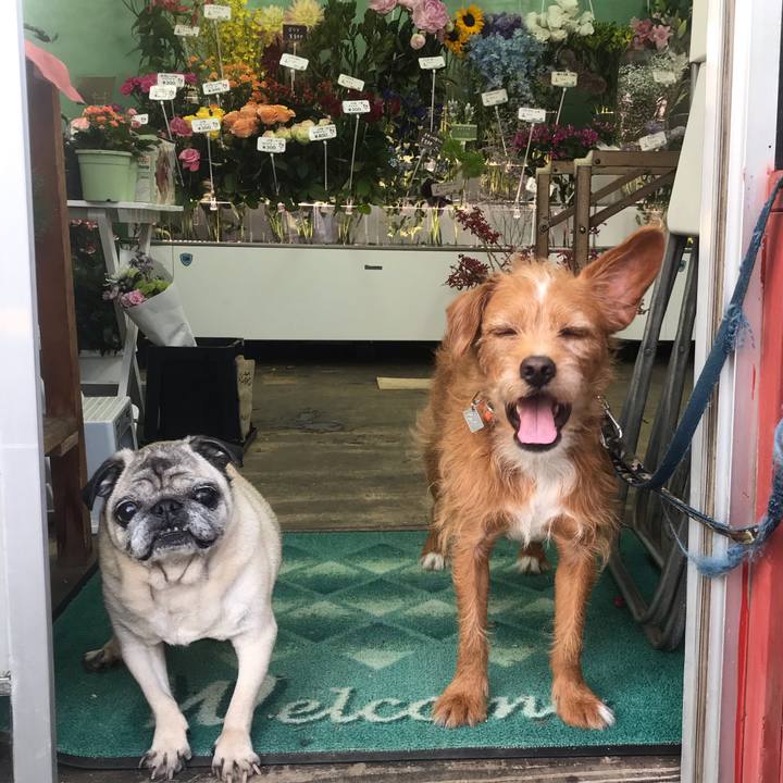 0a16be4e 0e5d 4c4f 88af 439282512b36 1591672059337