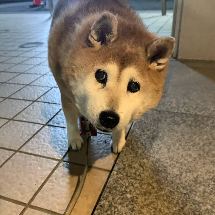 0a16d81d 4ad1 45db be0e 01ff41cfd1ae 1611575717594