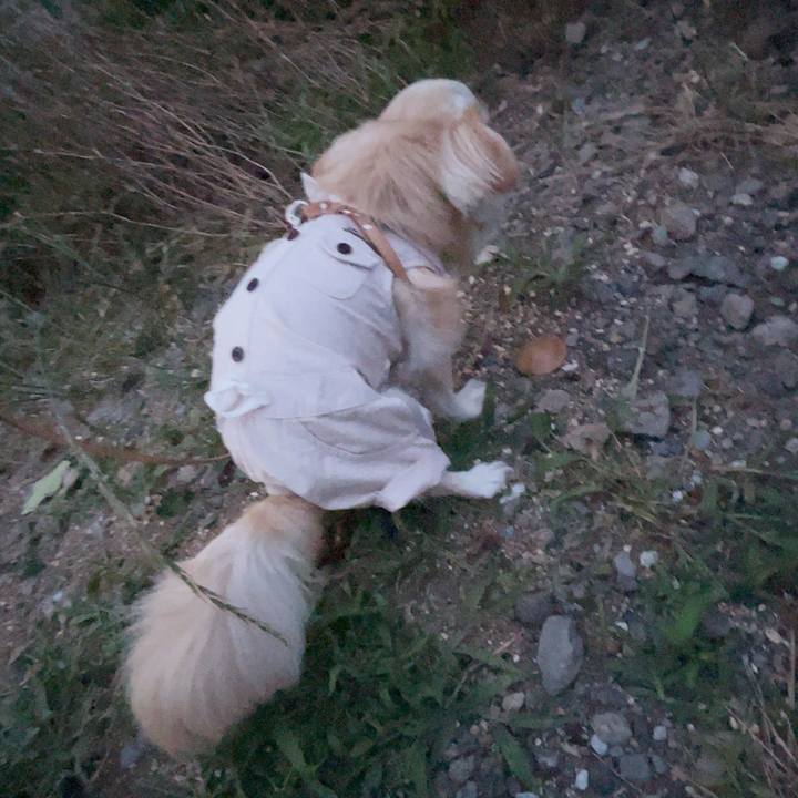 0a16e689 797e 4b49 b617 1a35bcc6c225 1749208253899