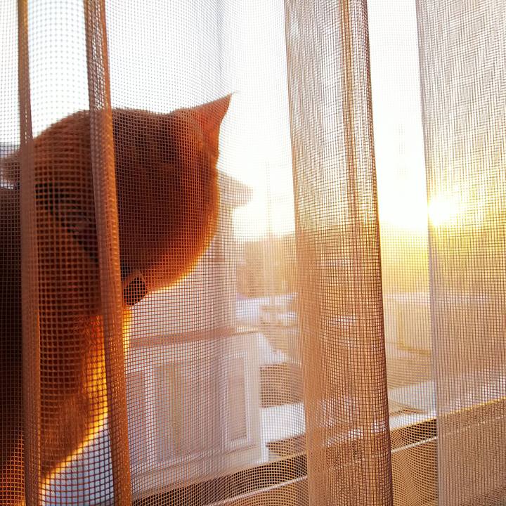 0a16efeb 0c64 4e9b 8c3a a7d9ef3ef70a 1552174590155