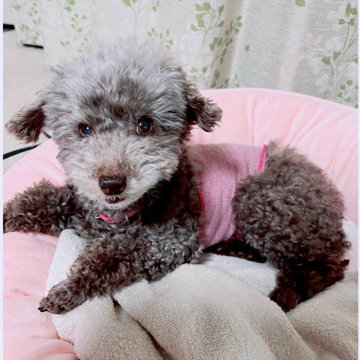 0a170789 82ee 420e 9e0d 0db0f3ef4749 1716472650918