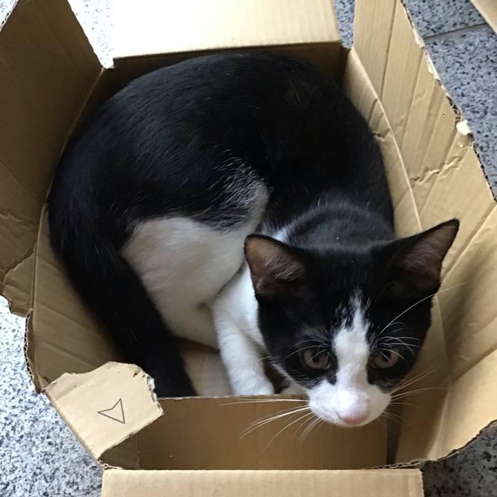 0a1743ef 77e0 461e abe1 6a8a4d7cc9da 1630132204344